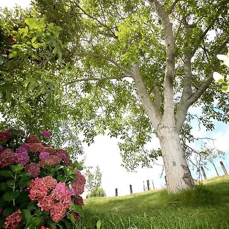 Supereda Сasa de vacaciones *