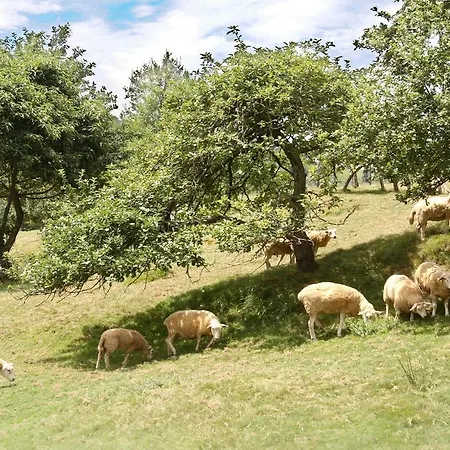 Supereda * San Juan de Parres