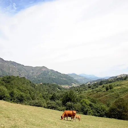 Supereda بيت للعطل